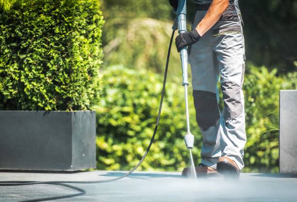 Best Roof Washing  in Trainer, PA